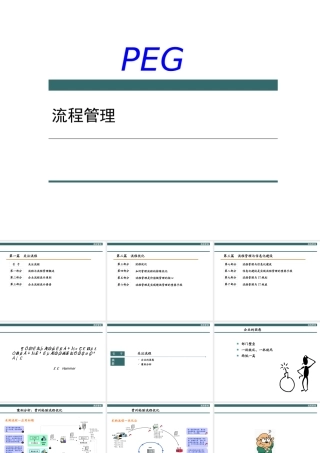 XXX管理咨询公司-流程管理（PPT 92页）