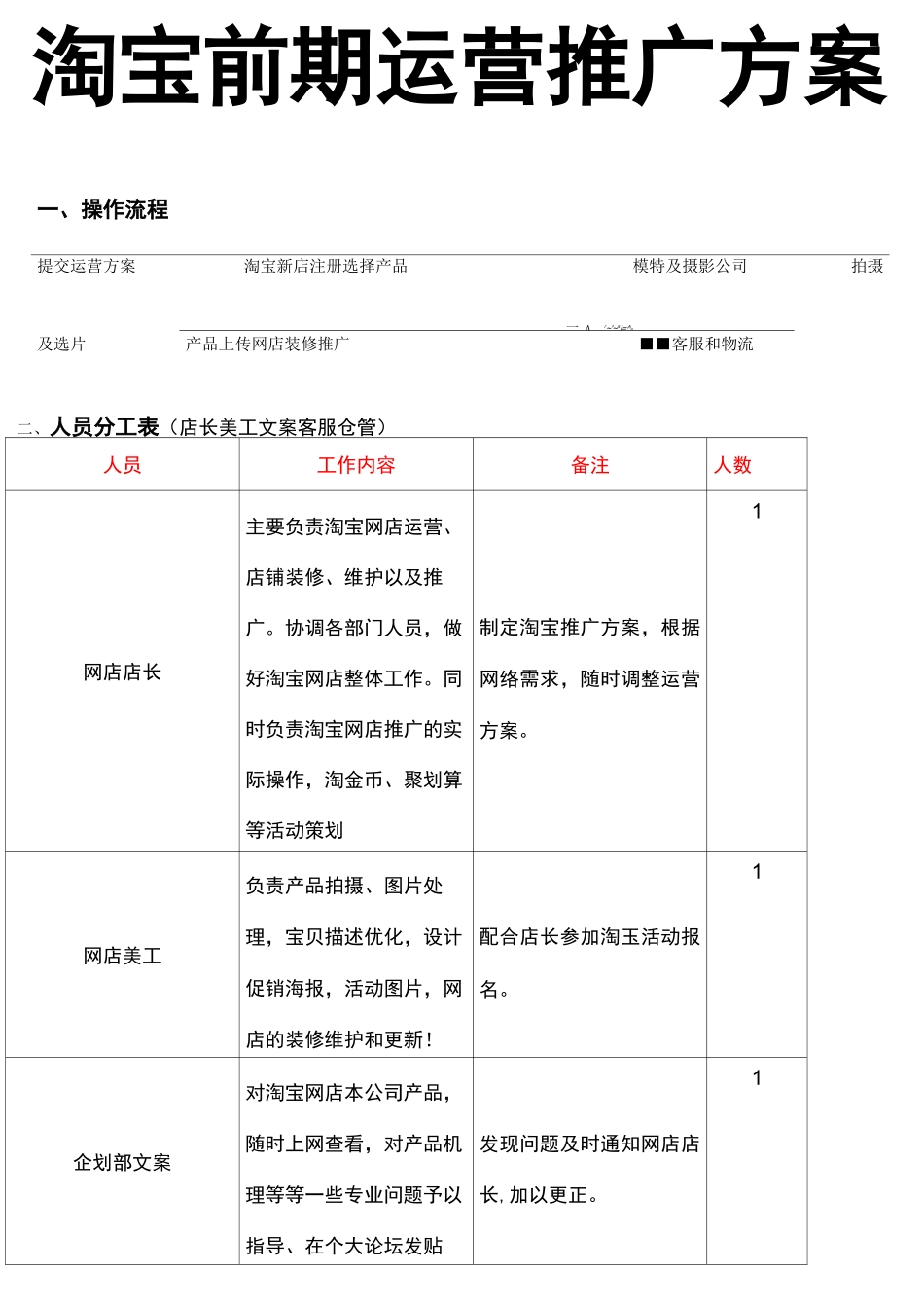 淘宝前期运营推广方案_第1页