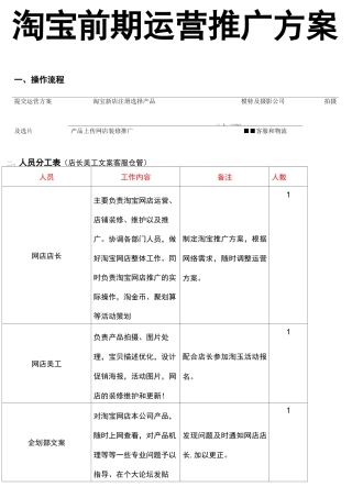 淘宝前期运营推广方案