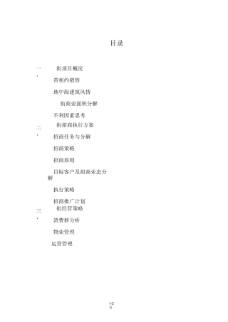 商业街招商执行方案