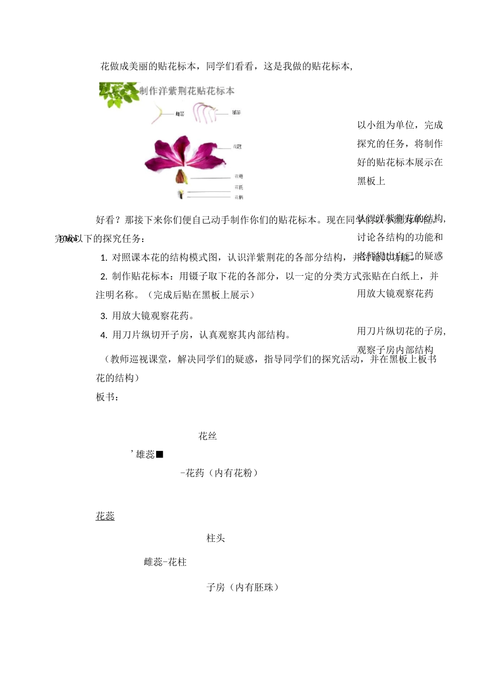 花的结构与功能教学设计_第3页