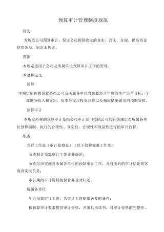 预算审计管理制度规范