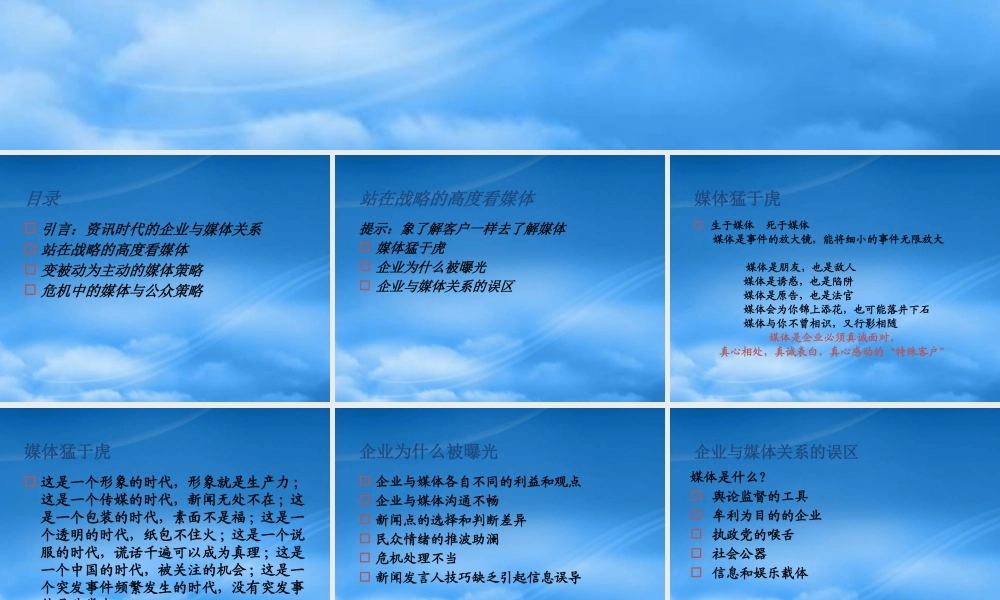 媒体战略和危机应对