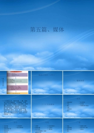 媒体战略与战术