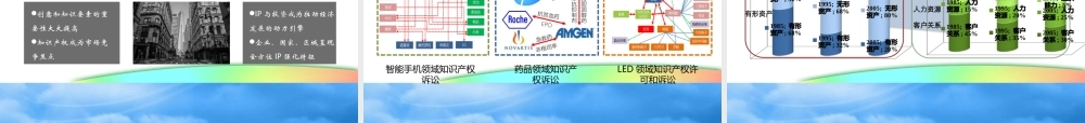孟海燕—15年10月行业知识产权战略中关村大讲堂