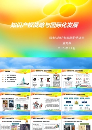 孟海燕—15年10月行业知识产权战略中关村大讲堂