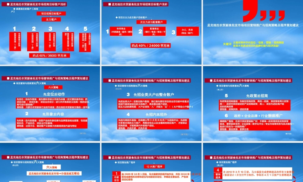 孟克烛拉农贸副食批发市场经营及招商策略提