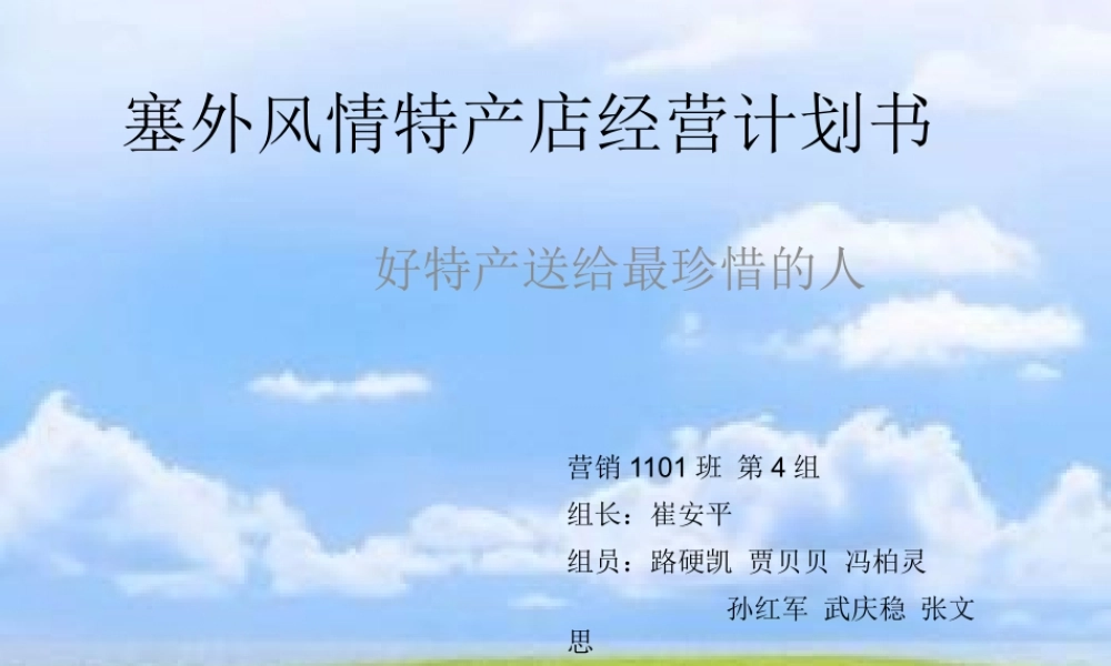 塞外风情承德特产店经营策划书