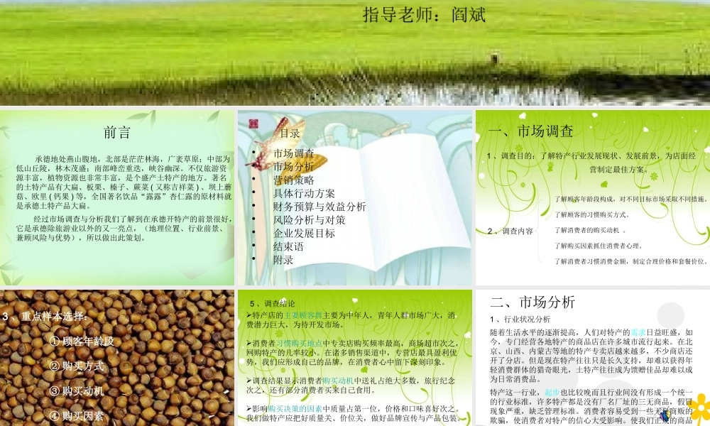 塞外风情承德特产店经营策划书