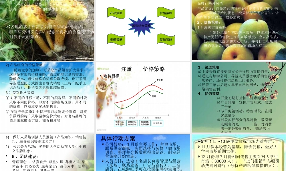 塞外风情承德特产店经营策划书