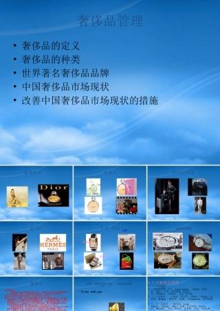 奢侈品管理相关知识