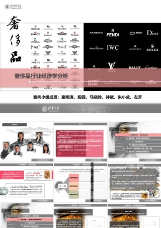 奢侈品行业的经济学分析_23_12_XXXX