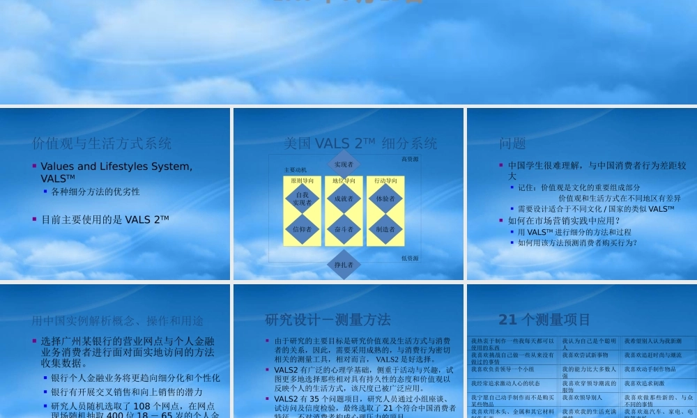 基于价值观与生活方式的市场细分(1)