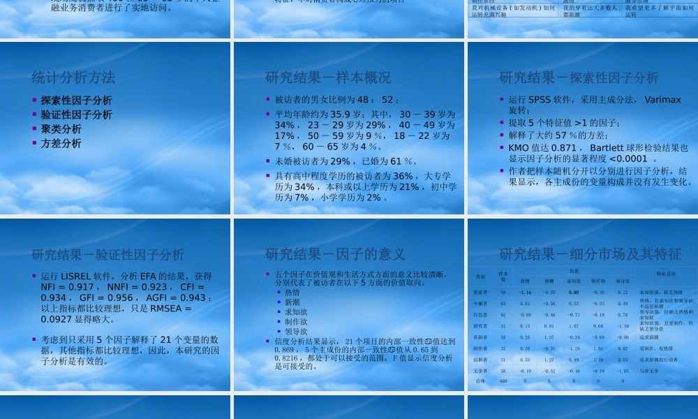 基于价值观与生活方式的市场细分(1)
