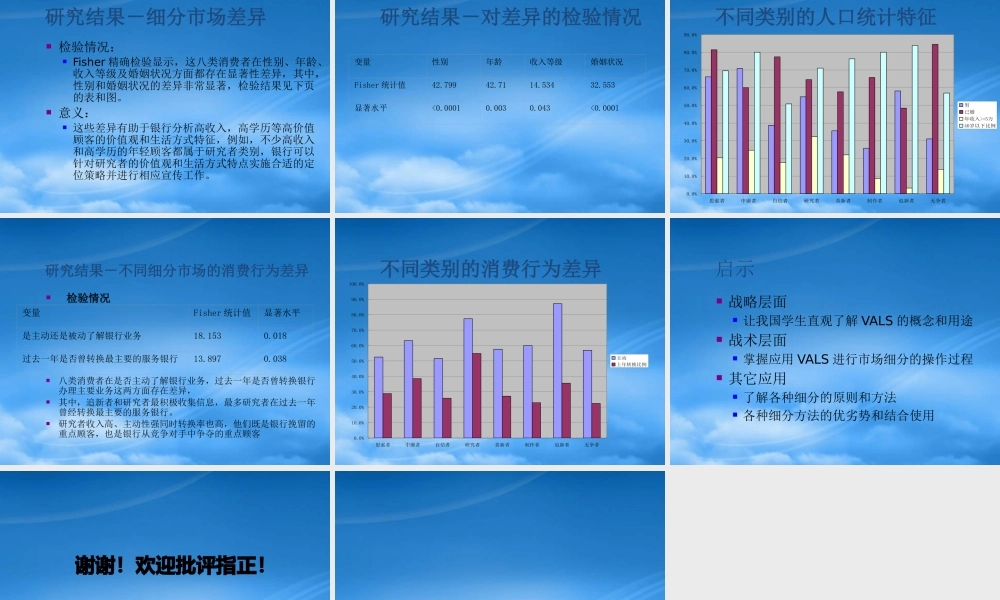 基于价值观与生活方式的市场细分(1)