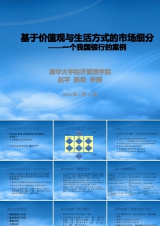 基于价值观与生活方式的市场细分(1)