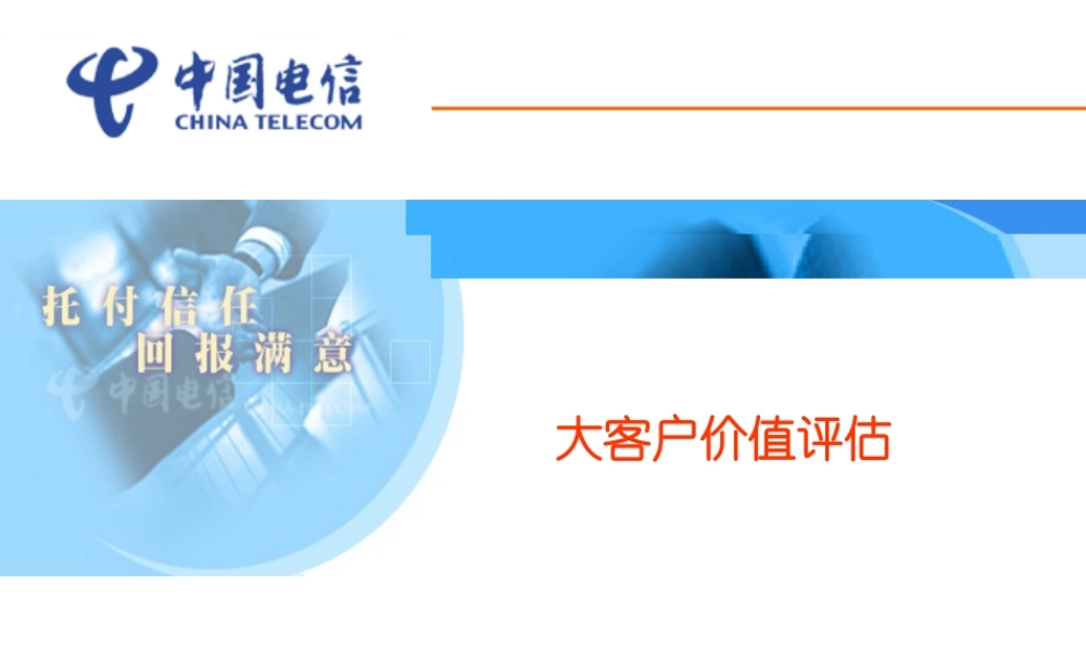 大客户价值评估教材