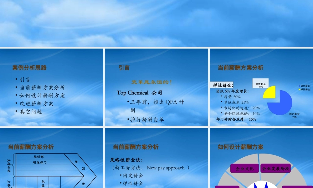 基于价值链的薪酬方案(ppt 15)(1)