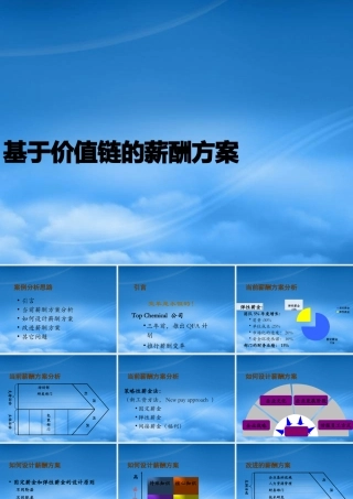 基于价值链的薪酬方案(ppt 15)(1)