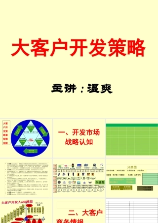 大客户开发策略