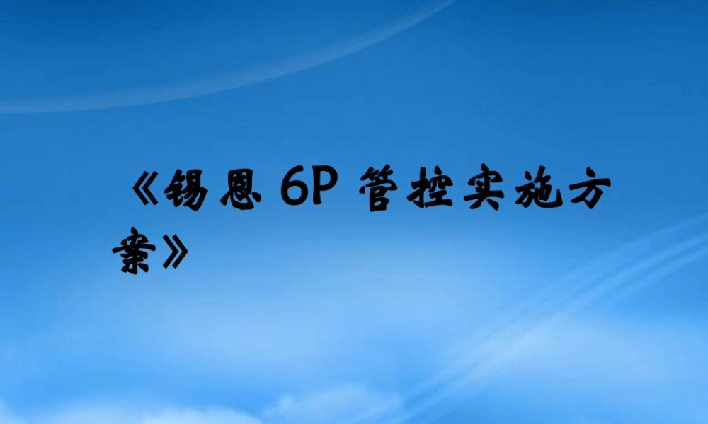 基于价值链管理的控制力实施方案