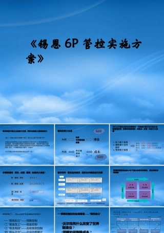 基于价值链管理的控制力实施方案