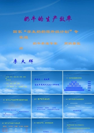 奶牛的生产效率管理