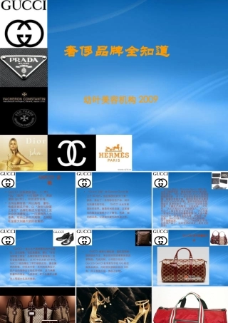 奢侈品牌全知道