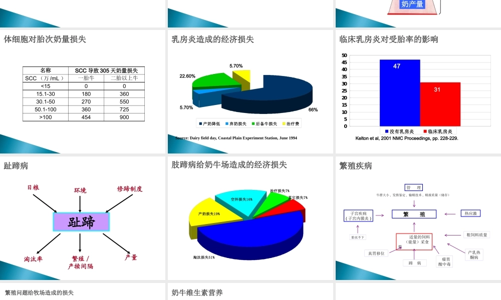 奶牛与奶牛产品