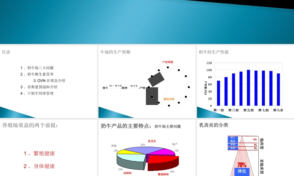 奶牛与奶牛产品讲义