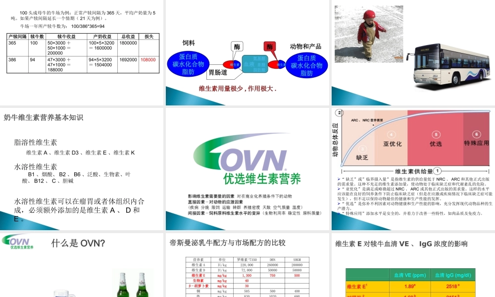 奶牛与奶牛产品讲义