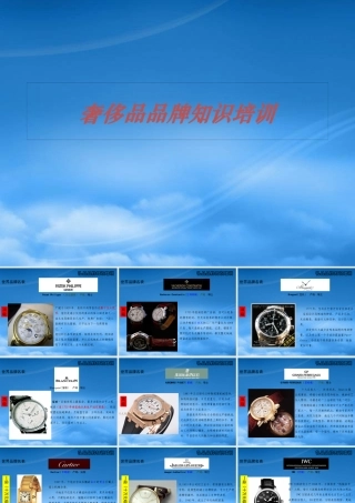 奢侈品品牌知识培训(ppt 60页)
