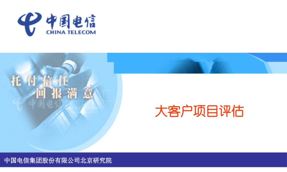 大客户项目评估