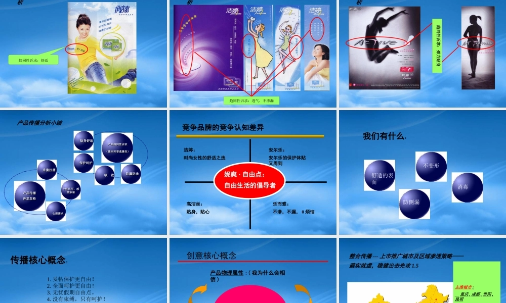 妮爽自由点上市策略分析报告27页PPT