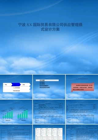 宁波XX国际贸易有限公司供应管理模式设计方案