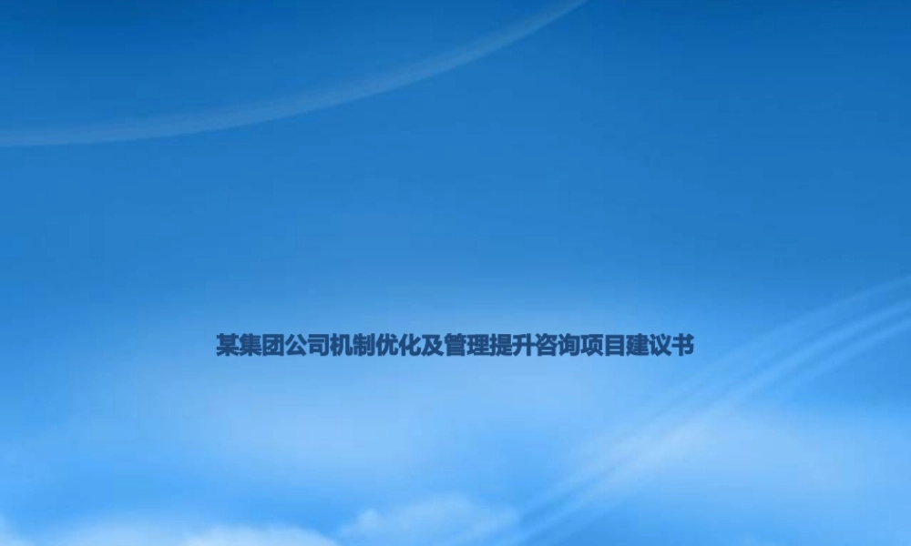 宁波X集团公司-管理机制的优化及提升项目建议书(详细版