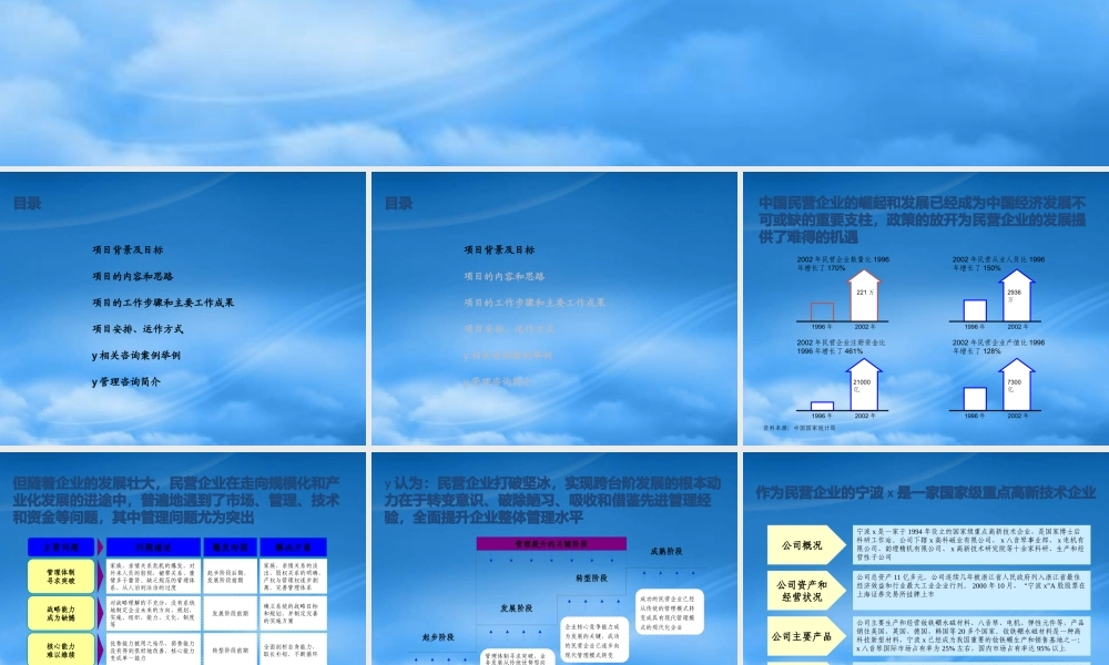 宁波X集团公司-管理机制的优化及提升项目建议书(详细版