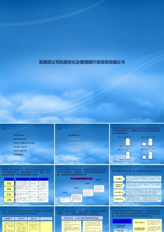 宁波X集团公司-管理机制的优化及提升项目建议书(详细版