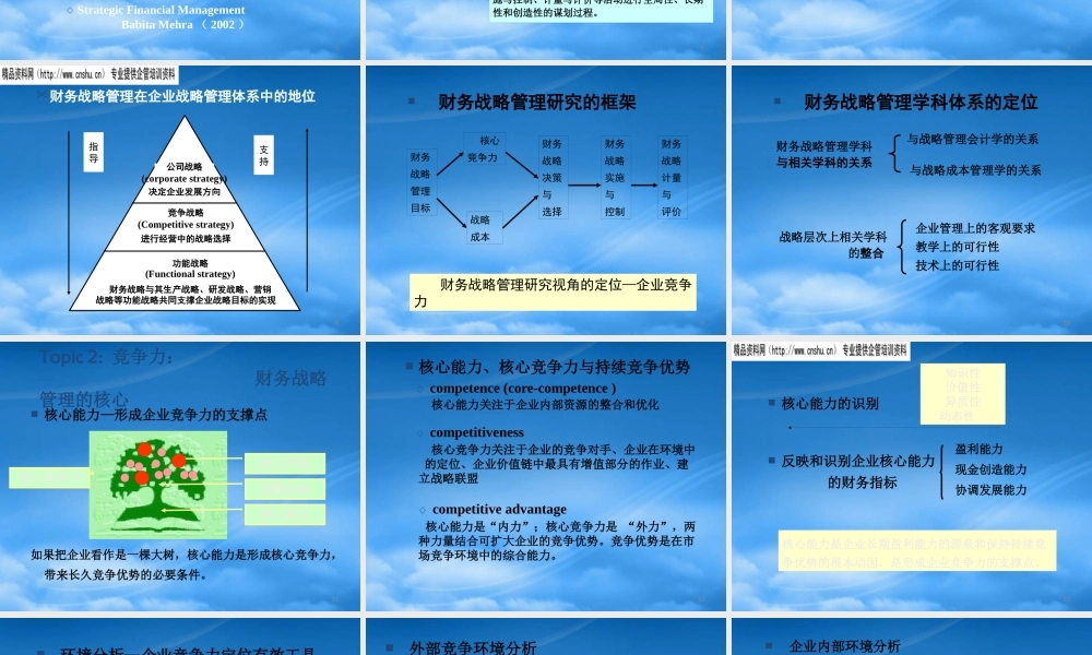 基于竞争力的财务战略管理研究报告