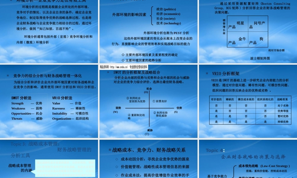基于竞争力的财务战略管理研究报告
