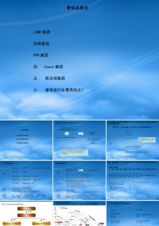 奢侈品五大品牌的分析以及奢侈品发展方向见解