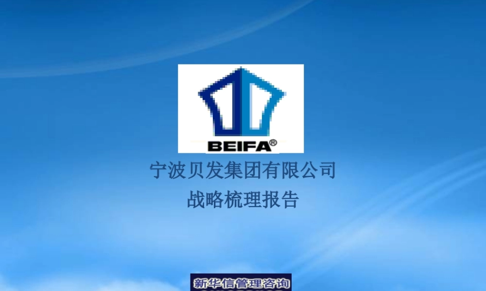 宁波贝发集团有限公司战略疏理报告(Final)