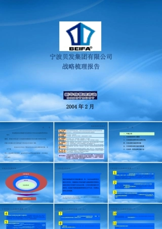 宁波贝发集团有限公司战略疏理报告(Final)