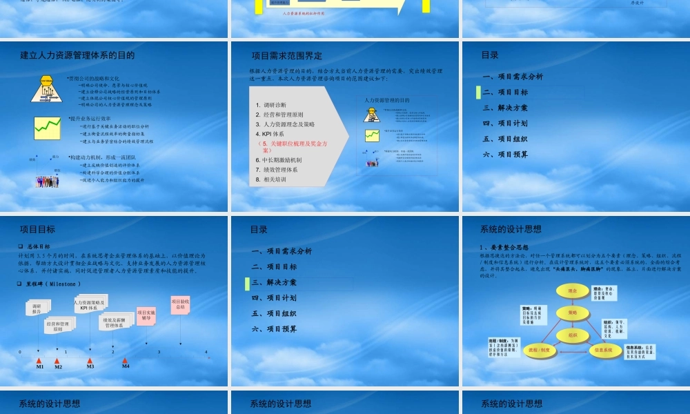 宁波方太厨具人力资源管理咨询项目建议书