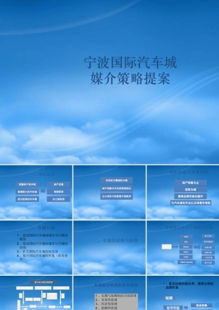 宁波国际汽车城媒介策略提案