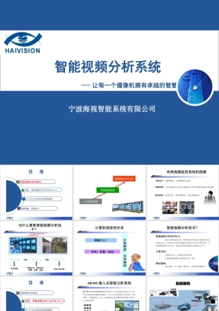 宁波海视智能系统有限公司智能视频分析仪产品简介