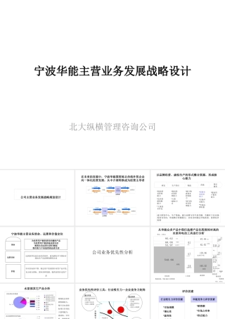 宁波华能发展战略设计方案