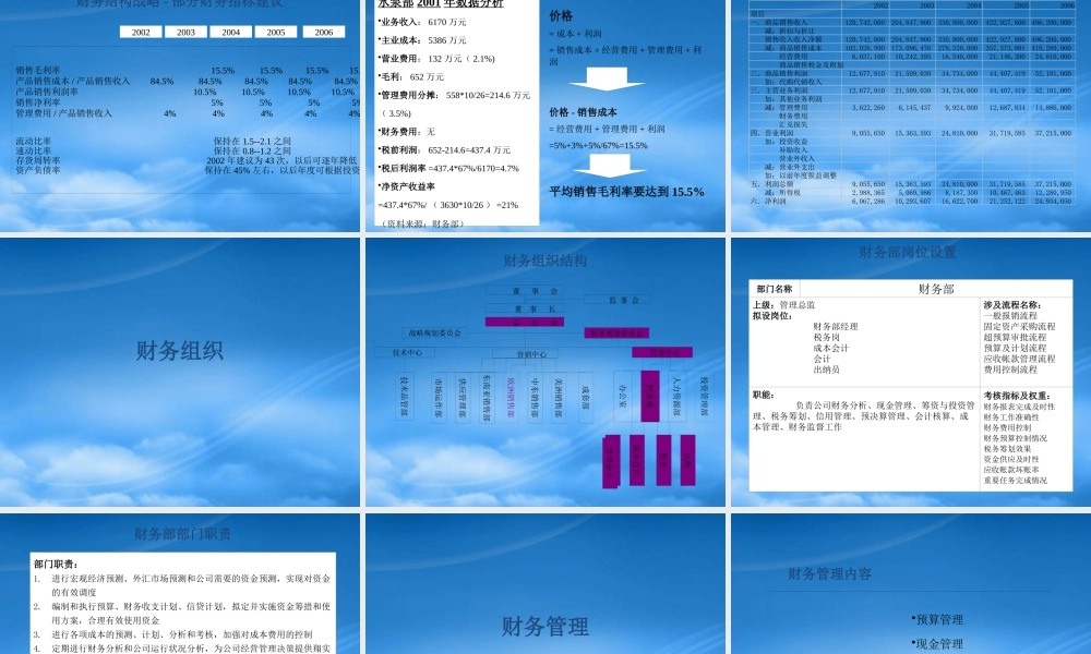 宁波华能国际贸易有限公司财务管理模式设计方案
