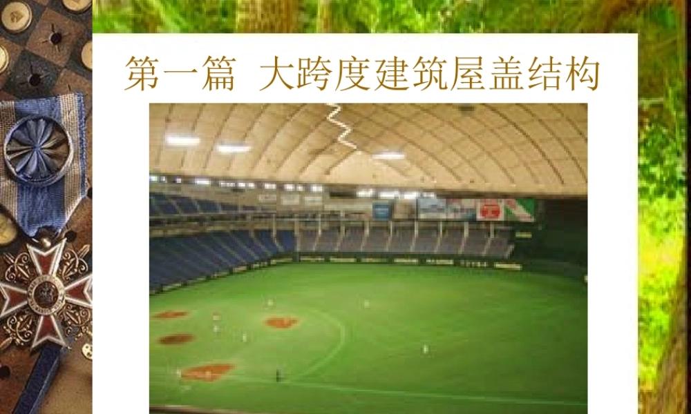大跨度建筑屋盖结构