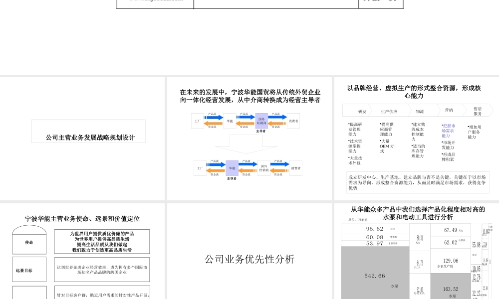 宁波华能国际贸易有限公司发展战略设计方案